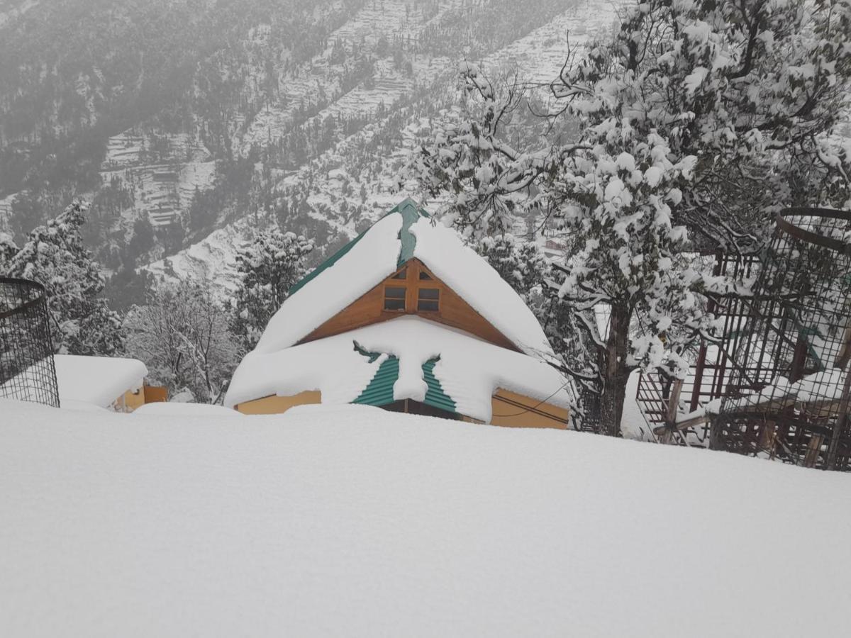 Chiraiyya Cottage Pangot 奈尼塔尔 外观 照片